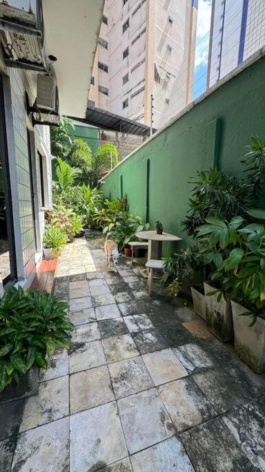Jardim Iracema Fortaleza (Ceara) Exterior foto