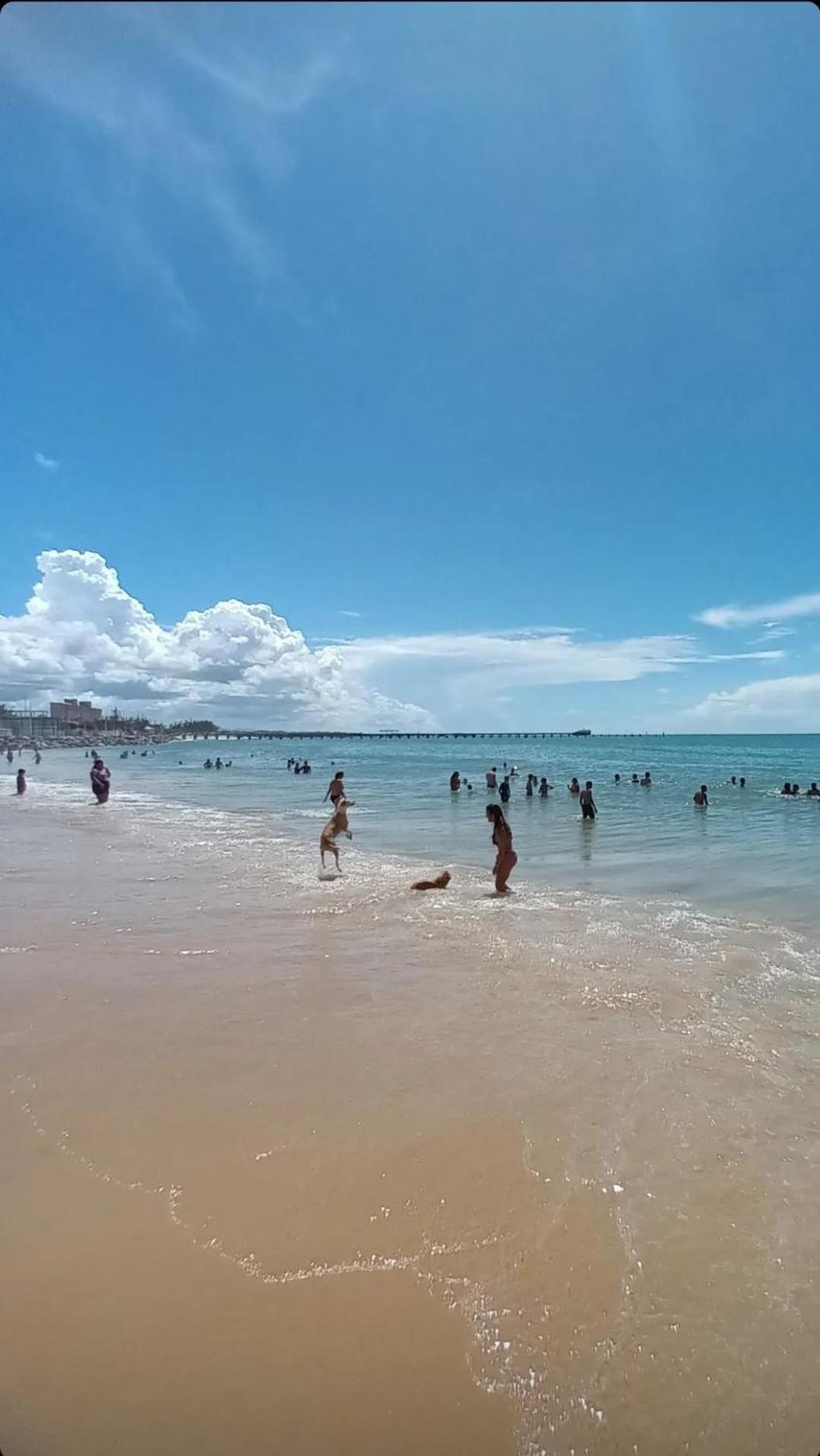 Jardim Iracema Fortaleza (Ceara) Exterior foto