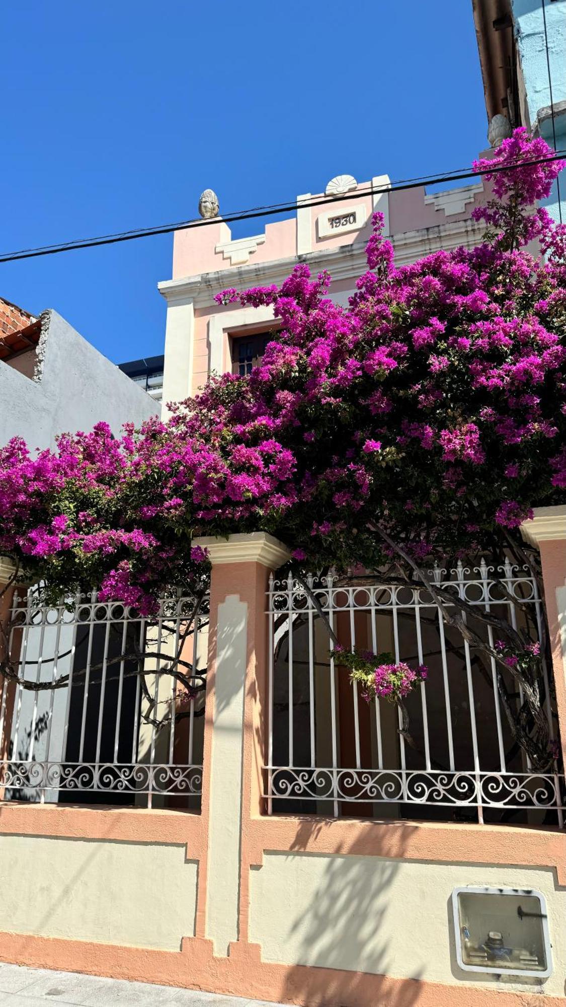 Jardim Iracema Fortaleza (Ceara) Exterior foto