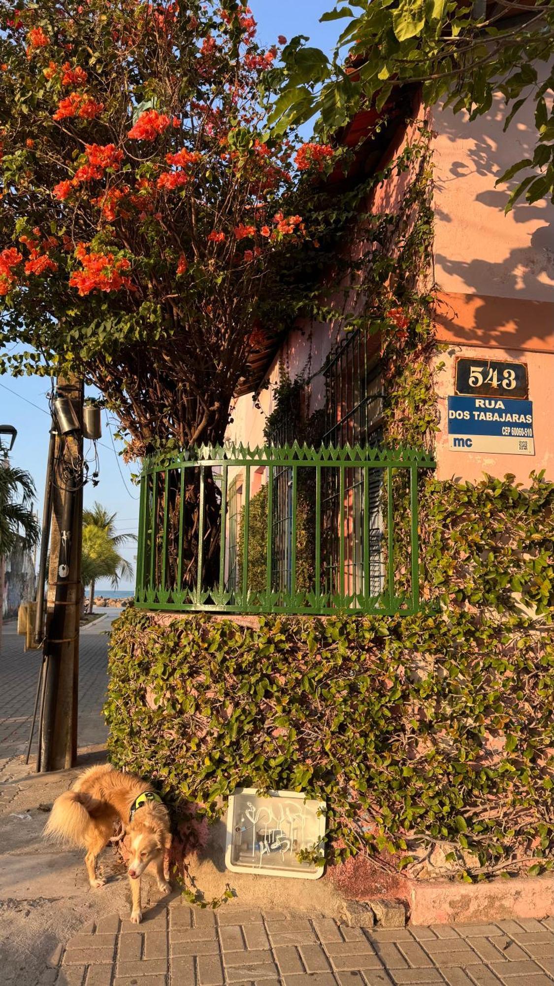 Jardim Iracema Fortaleza (Ceara) Exterior foto